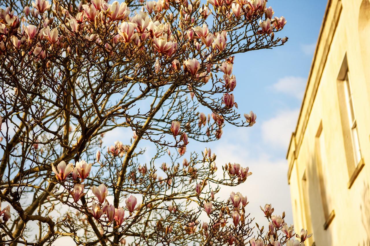 ホテルBackwell House Nailsea エクステリア 写真